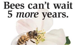 Broad Coalition is Building Buzz to Raise Awareness of Pollinator Declines