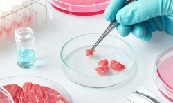 Food Safety Advocates Call for Regulation and Transparent Labeling of Cell-Cultured Lab 'Meats'