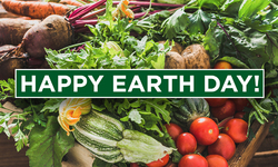 Five Ways to Celebrate Earth Day
