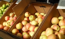 Center for Food Safety, Consumers Union, Food & Water Watch Urge National Organic Standards Board to Discontinue Use of Antibiotics in Organic Apple, Pear Production