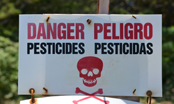 Groups Sue EPA for Failing to Assess Real-World Harms of Pesticides