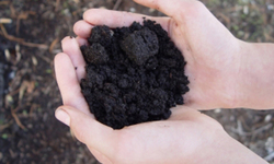 The United States of Compost